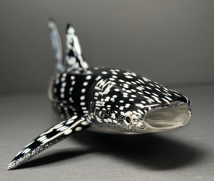 Whale Shark | www.pavoreal.com